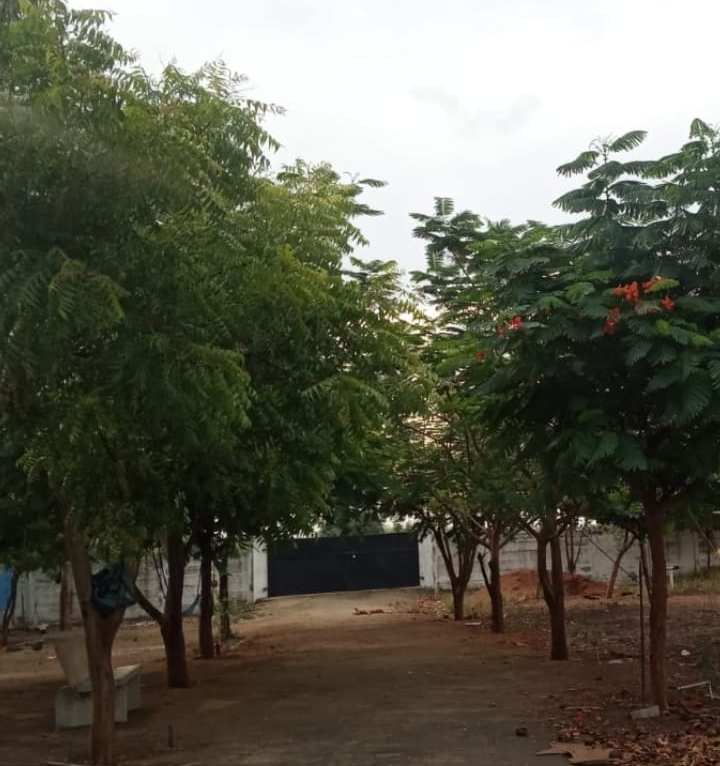 Mahalakshmi Goat Farm Kovilpatti Erachi