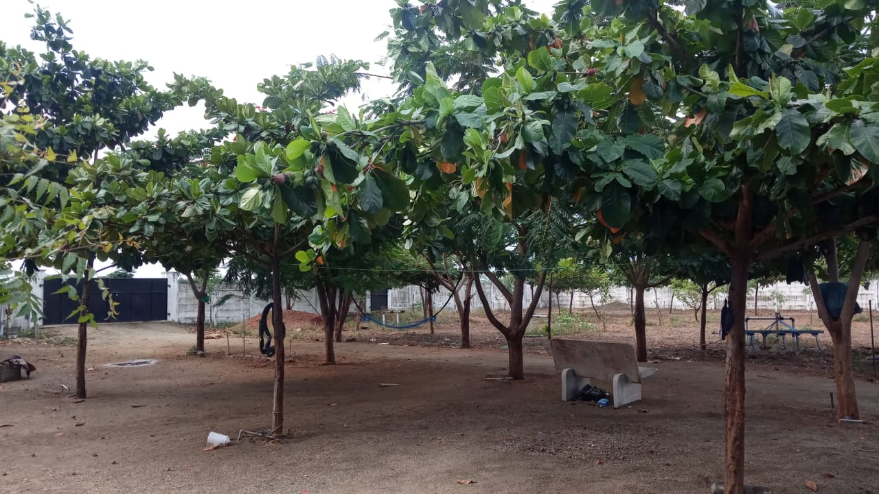 Mahalakshmi Goat Farm Kovilpatti Erachi